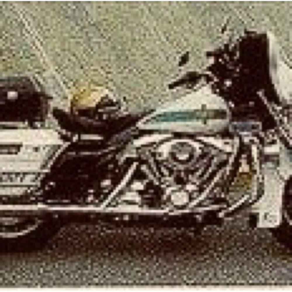 Meet your Posher, Barry